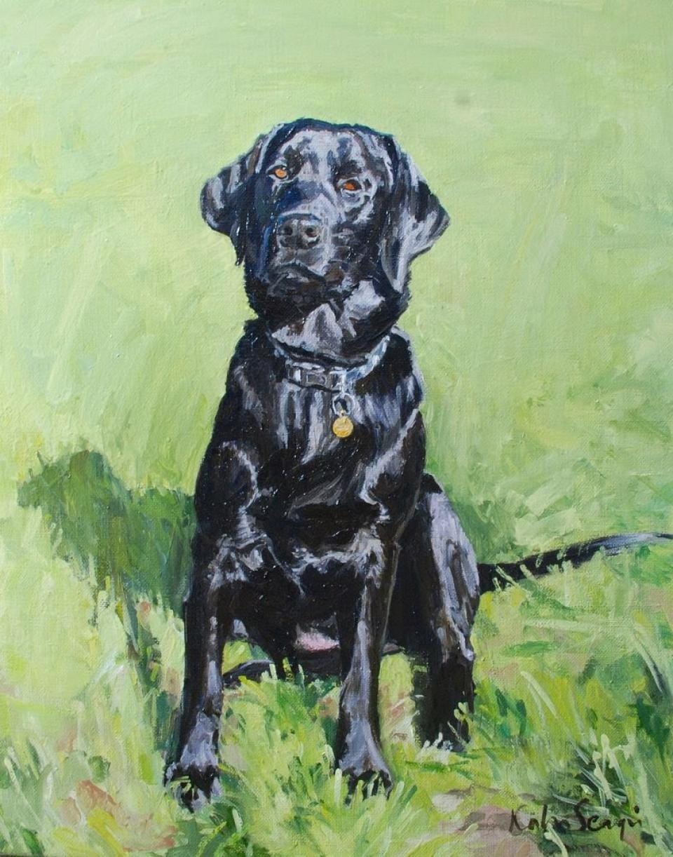 black labrador commission