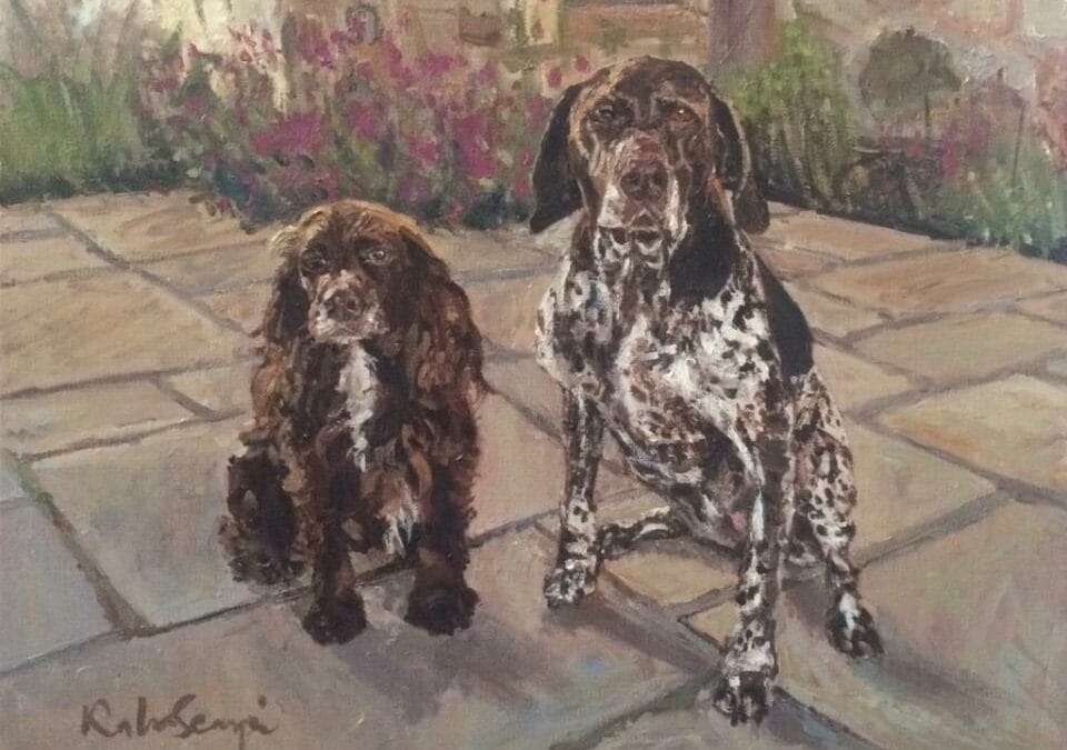 cocker spaniel and pointer commission