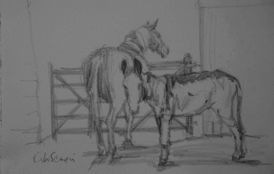 custard horse custard horse