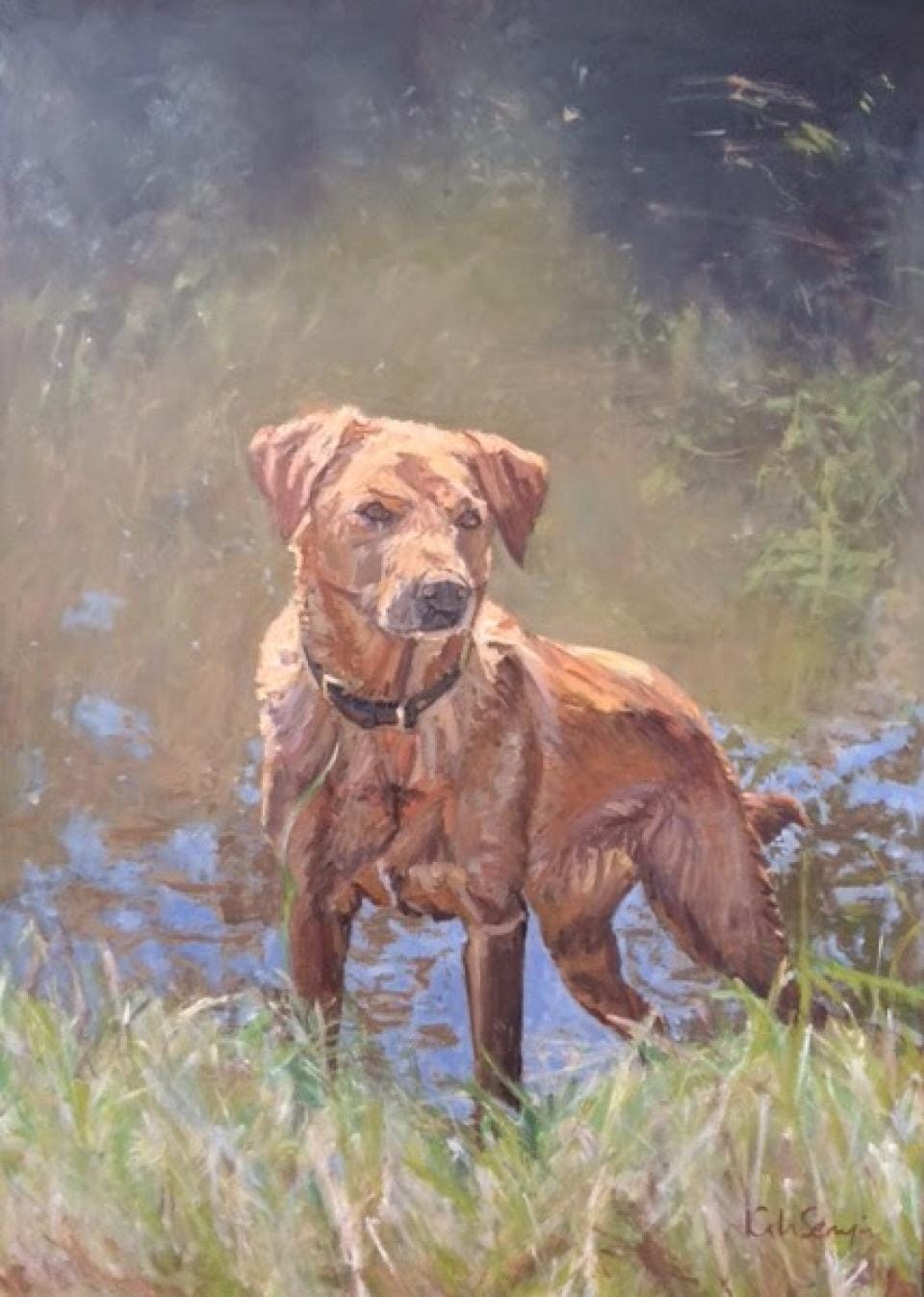golden labrador commission