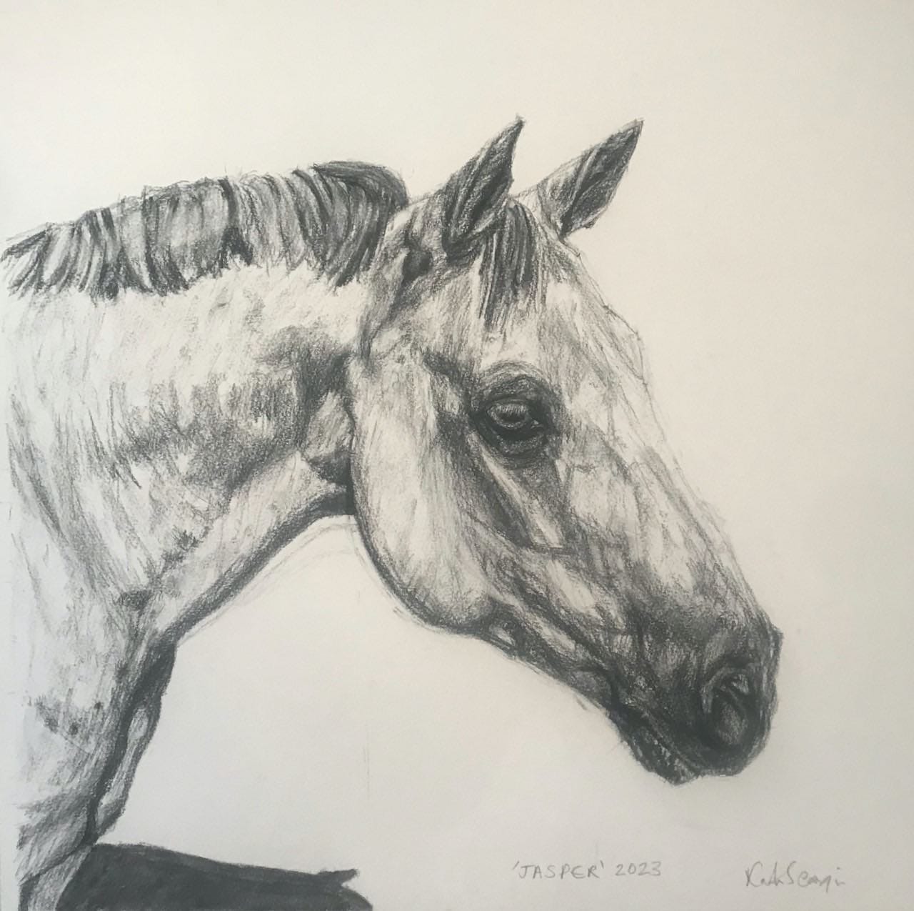 horse 2 charcoal commission horse 2 charcoal commission