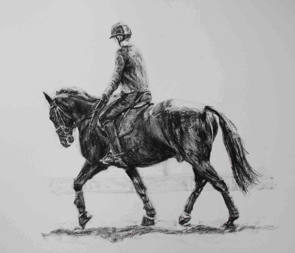 jenny harvey roly jenny harvey roly