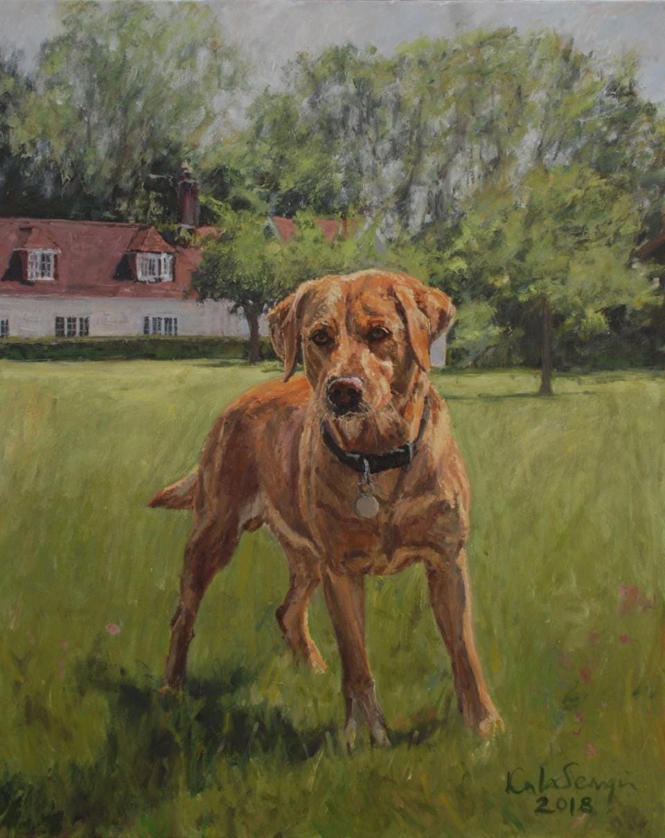 labrador commission