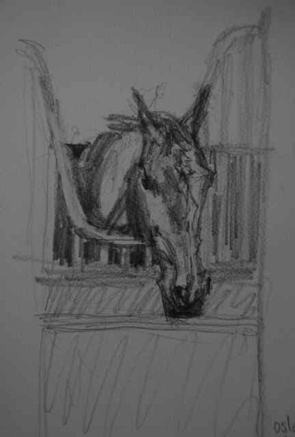 oslo relaxing drawing oslo relaxing drawing