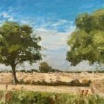 Round Bales with Trees