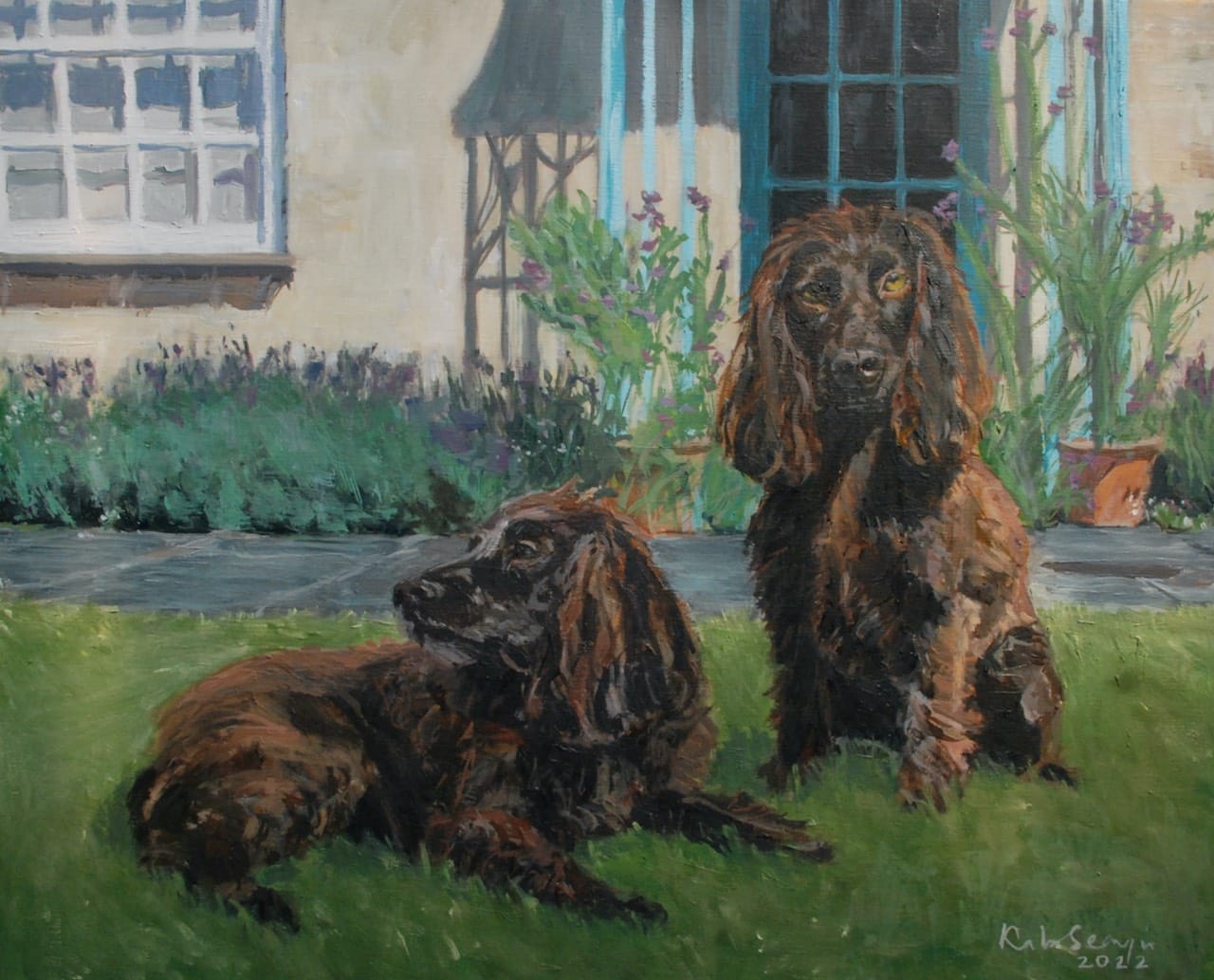 spaniels spaniels