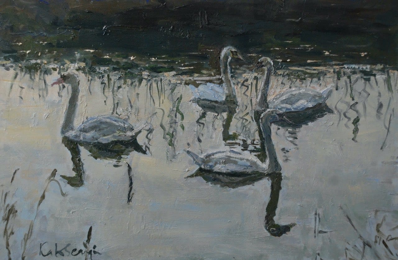 swans on the stour