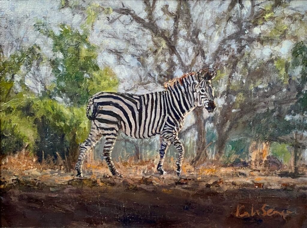 zambian zebra
