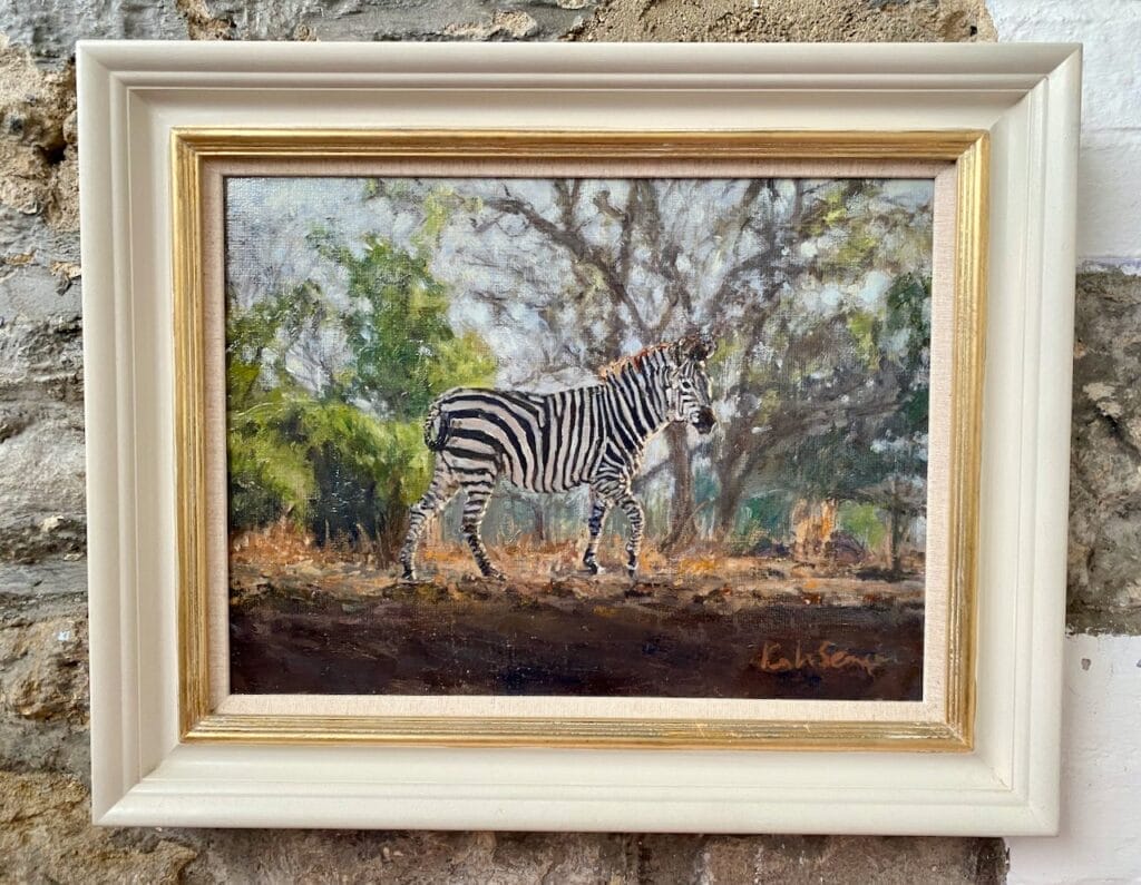 zambian zebra framed