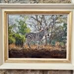 zambian zebra framed