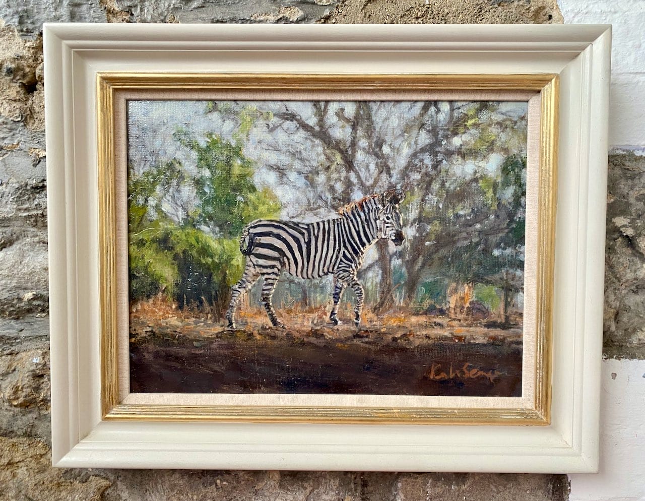 zambian zebra framed